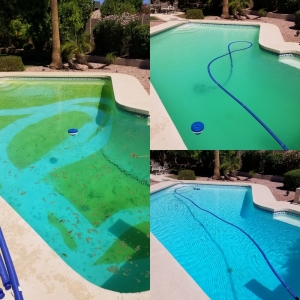 Photo of Pleasant Pool People