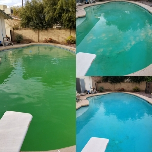 Photo of Pleasant Pool People