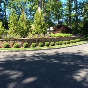 Photo of Kings Building Material