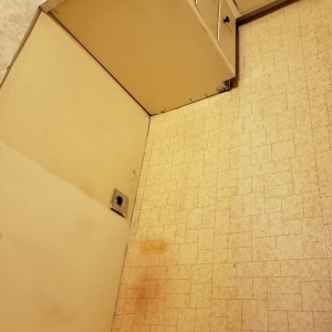Photo of Urban Maid