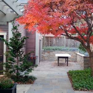 Photo of Outdoor Space Design