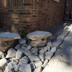 Photo of Rescue My Landscape