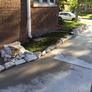 Photo of Rescue My Landscape