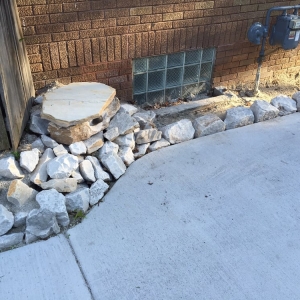Photo of Rescue My Landscape