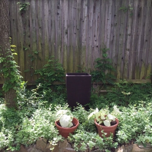 Photo of Superior Wood Care