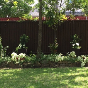 Photo of Superior Wood Care