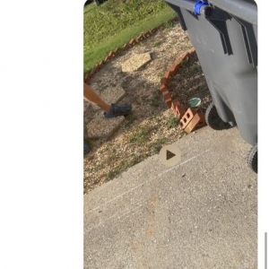 Photo of 911 Pool Services