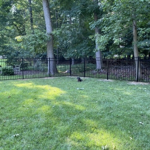 Photo of Flores Fences