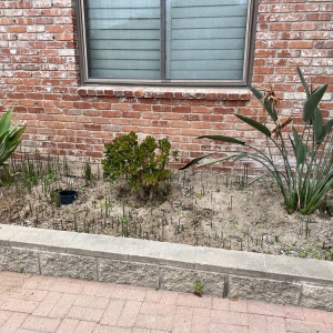 Photo of Water Wise Grass Artificial Turf