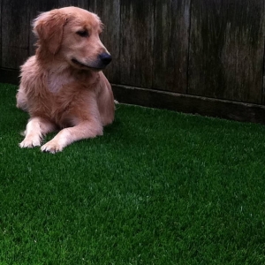Photo of Water Wise Grass Artificial Turf