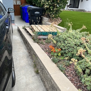 Photo of Water Wise Grass Artificial Turf