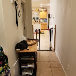 Photo of Established Moving & Storage