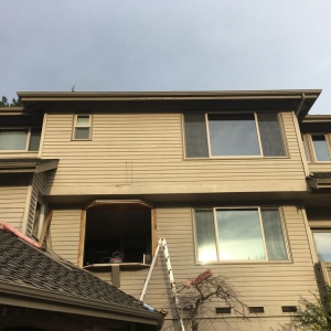 Photo of Windows & Glass