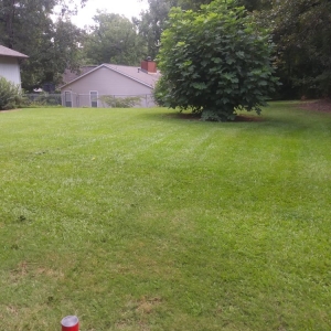 Photo of Precise Lawn Care