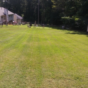 Photo of Precise Lawn Care