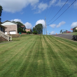 Photo of Precise Lawn Care