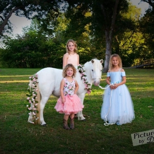 Photo of Dreamcatcher Party Pony's
