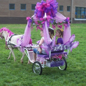 Photo of Dreamcatcher Party Pony's