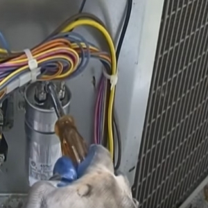 Photo of Bone Heating and Cooling