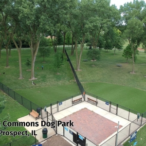 Photo of Perfect Turf