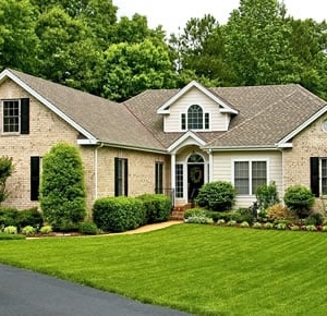 Photo of Freedom Lawn Care