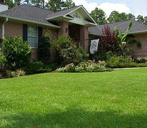 Photo of Freedom Lawn Care
