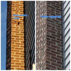 Photo of Best Way Chimney repair