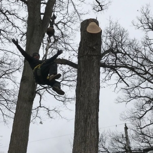 Photo of Ford Excavating and Tree Service