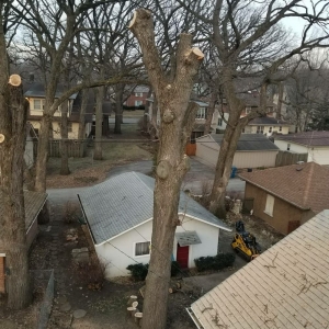 Photo of Ford Excavating and Tree Service