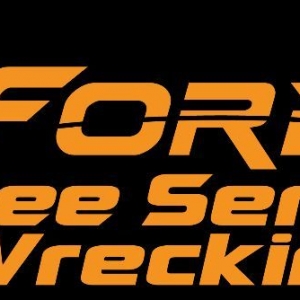 Photo of Ford Excavating and Tree Service