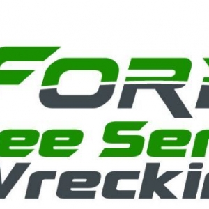 Photo of Ford Excavating and Tree Service