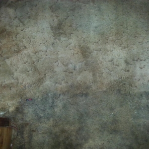Photo of Doctor Carpet