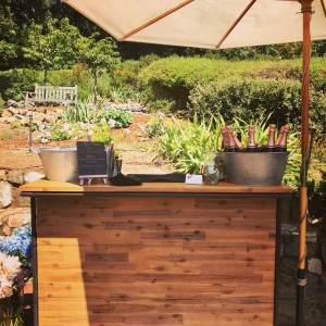 Photo of Polly Martini's Bartender & Event Services