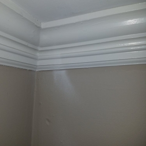 Photo of Integrated Restoration Solutions