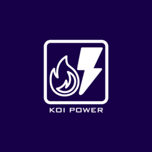 Photo of KOICOMS Business Solutions