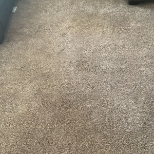 Orange Park Oxi Fresh Carpet Cleaning
