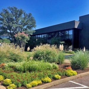 Photo of Davis Business Law