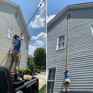 Photo of Freedom Pest Services
