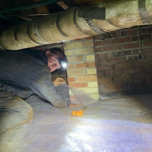 Photo of Freedom Pest Services