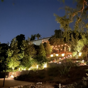 Photo of Hillrise Design