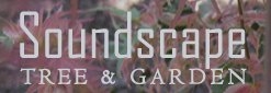 Seattle Soundscape Tree & Garden