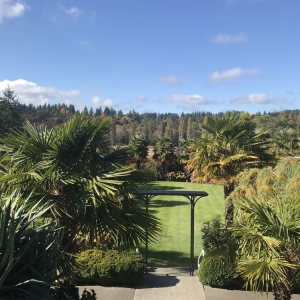 Photo of Yang's Botanical Gardens