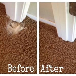 Photo of Premium Carpet Repair & Cleaning