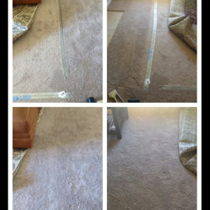 Photo of Premium Carpet Repair & Cleaning