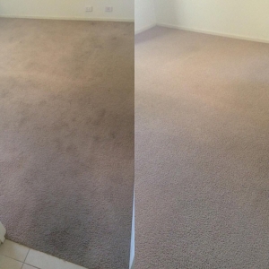 Photo of Boston House Cleaners