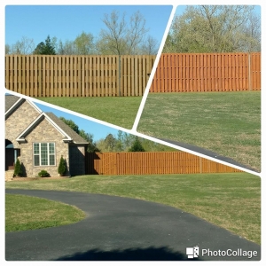 Photo of Fence Protector Staining & Sealing