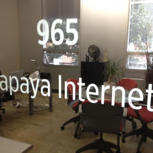 Photo of Papaya Search