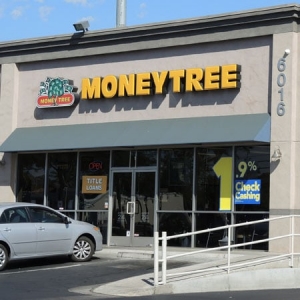 Photo of Moneytree
