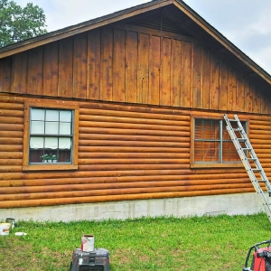 Photo of A Home Maintenance And Repair