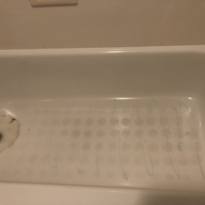 Photo of Dino Cleaning